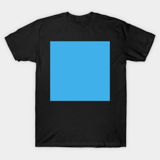 Sky Blue T-Shirt